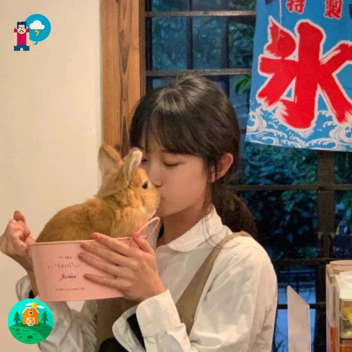 北城旧梦